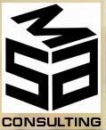SAM Consulting Services